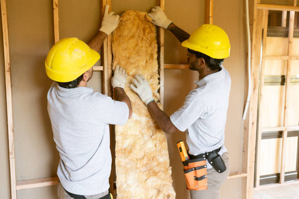 Best Insulation Contractor Near Me  in Rossville, GA